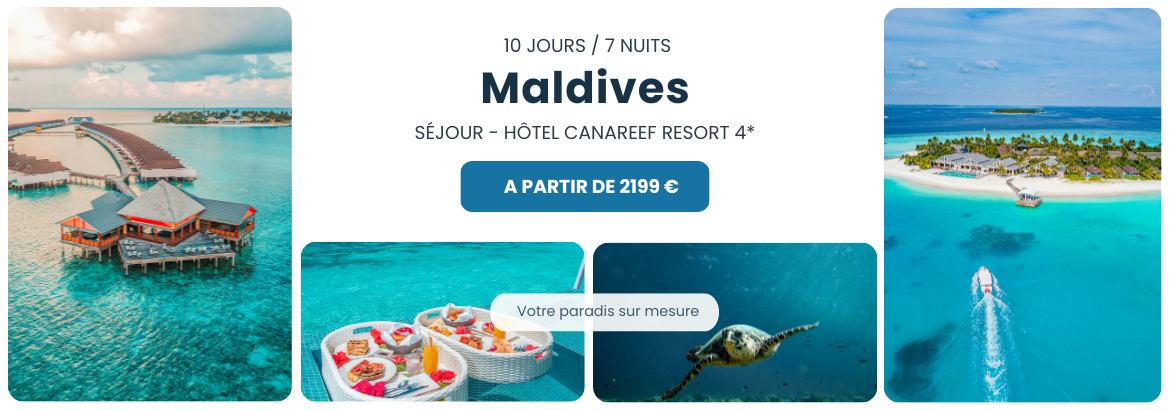 Maldives Hôtel Canareef Resort 4